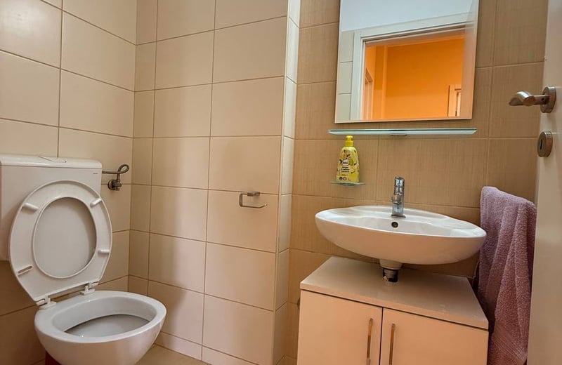 Аренда просторной и светлой 3-комнатной квартиры, 85 м², район Вождовац, Белград, Сербия